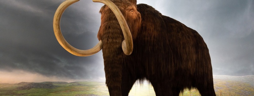 Model în mărime naturală al unui mamut lânos cu blană lungă maronie și colți mari curbați