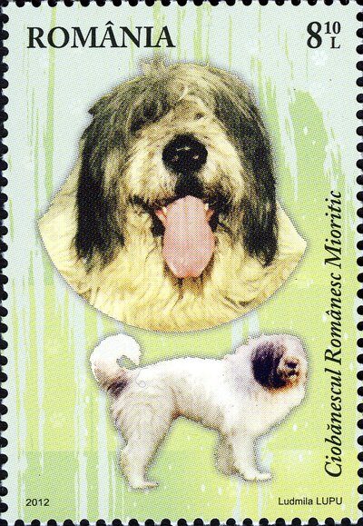 Timbru românesc din 2012 cu Ciobănescul românesc mioritic, valoare 8,10 lei