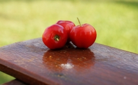 Acerola