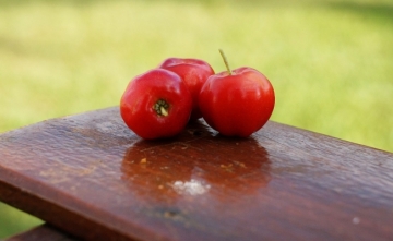 Acerola