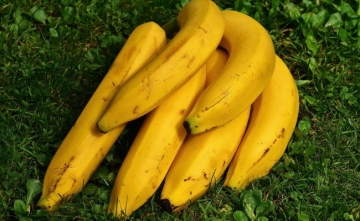 Banane