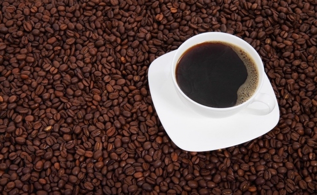 Unde se cultiva cafea in America de Nord?