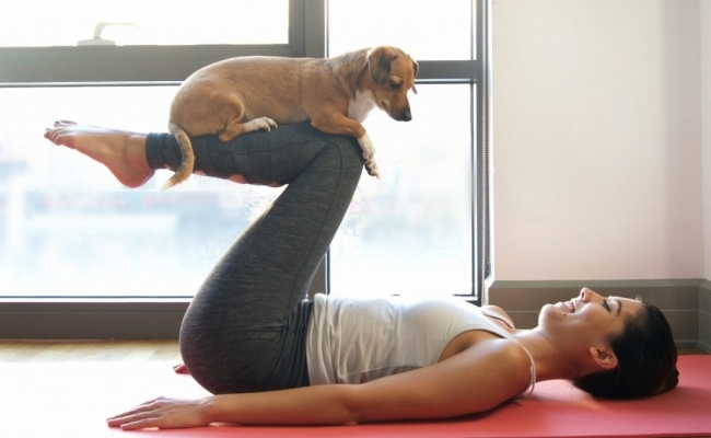 Yoga cu animale?
