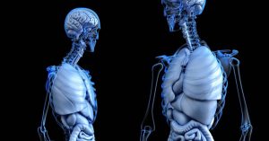 110+ Curiozități și informații fascinante despre Corpul Uman