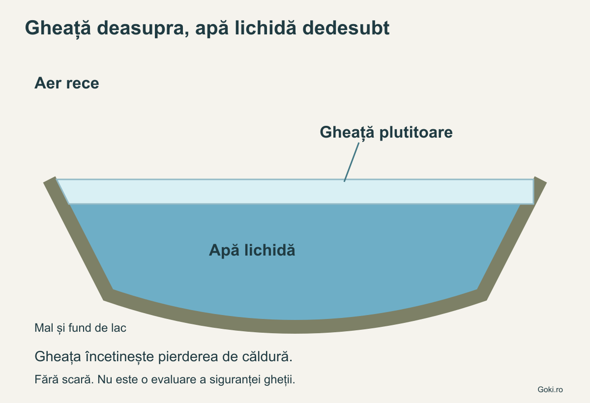 Secțiune conceptuală printr-un lac cu gheață la suprafață și apă lichidă sub ea