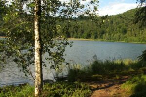 Lacul Sfânta Ana și versanții împăduriți din jur, fotografie din iulie 2008