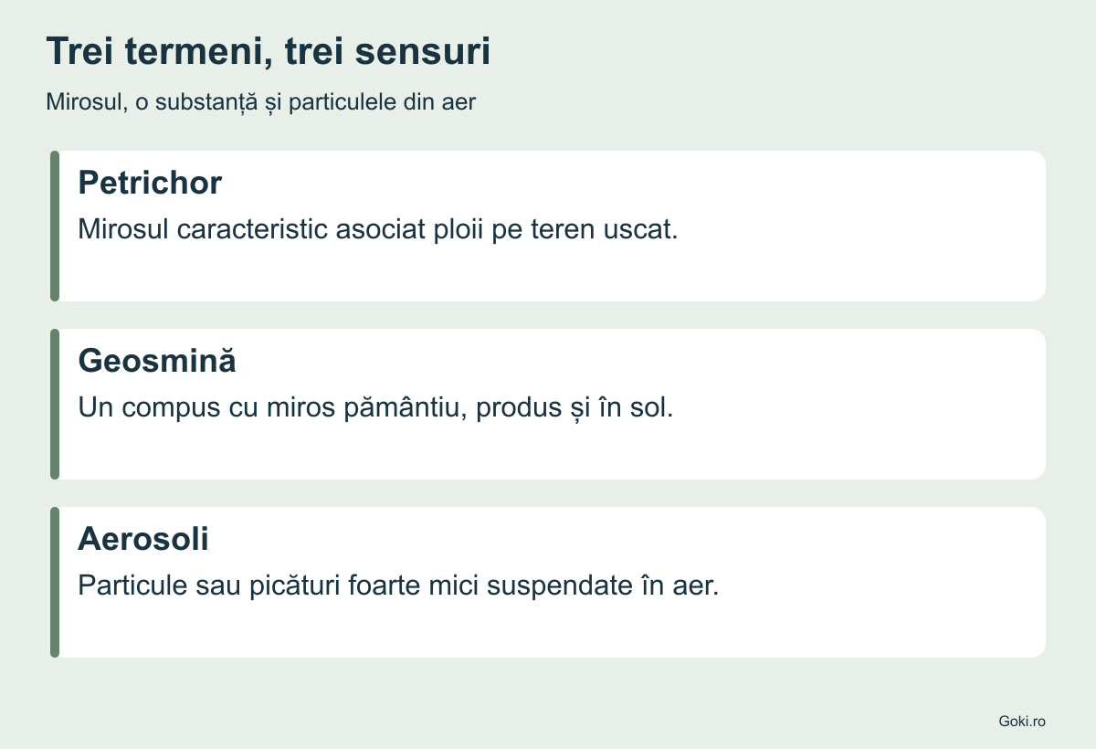 Petrichor desemnează mirosul, geosmina este un compus pământiu, iar aerosolii sunt particule sau picături suspendate în aer
