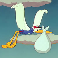 Mr. Stork